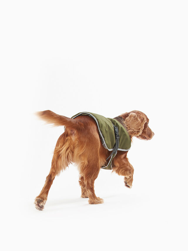 Monmouth Waterproof Dog Coat Small