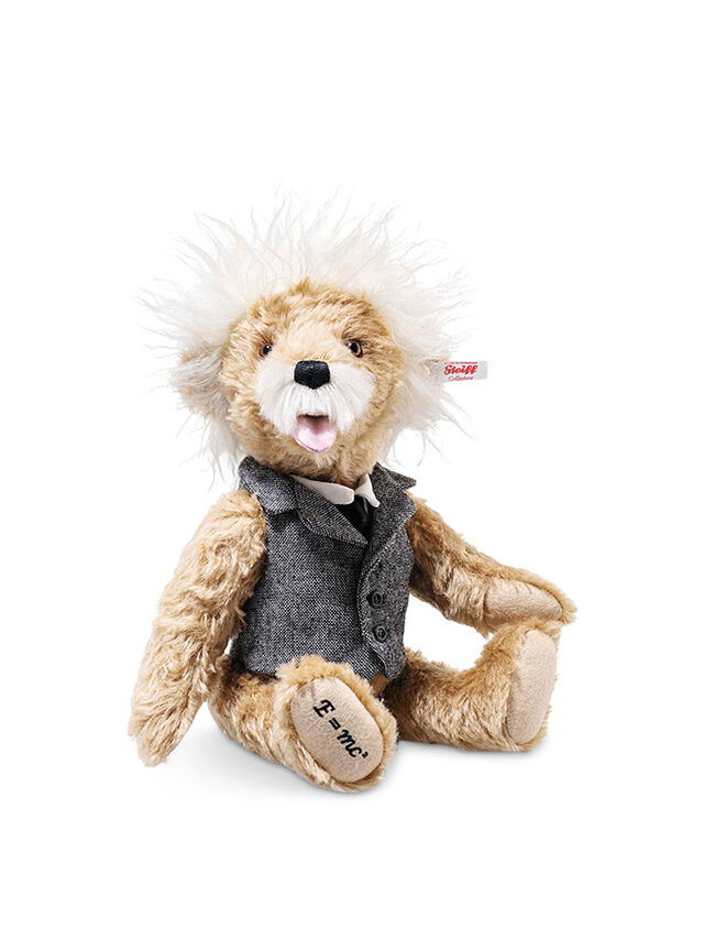 Albert Einstein Teddy bear