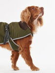Monmouth Waterproof Dog Coat Small