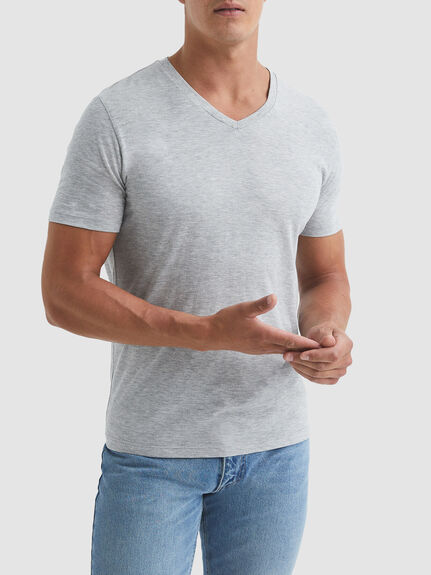 Dayton Regular Fit V-Neck T-Shirt