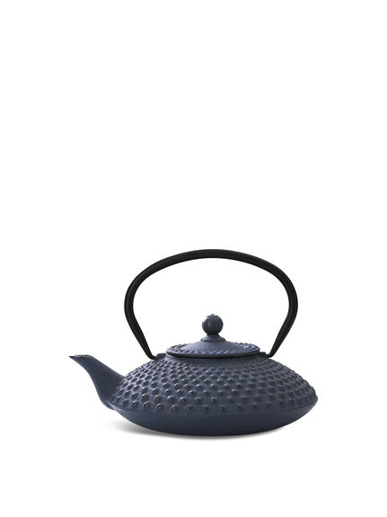 Xilin Design Cast Iron Tea Pot