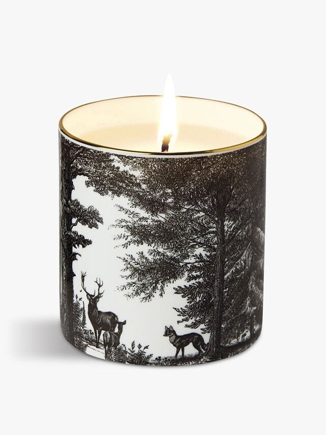 The Enchanted Forest Fine China Scented Candle