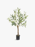 Olive Tree In Pot 90cm