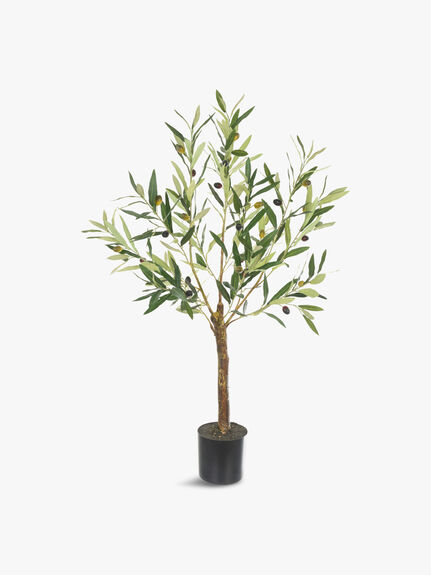 Olive Tree In Pot 90cm