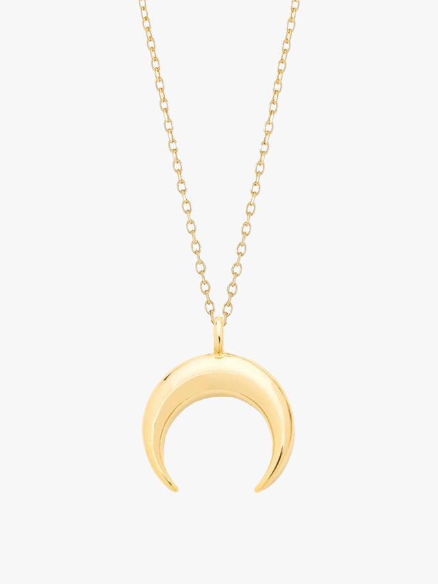 Curved Horn Necklace