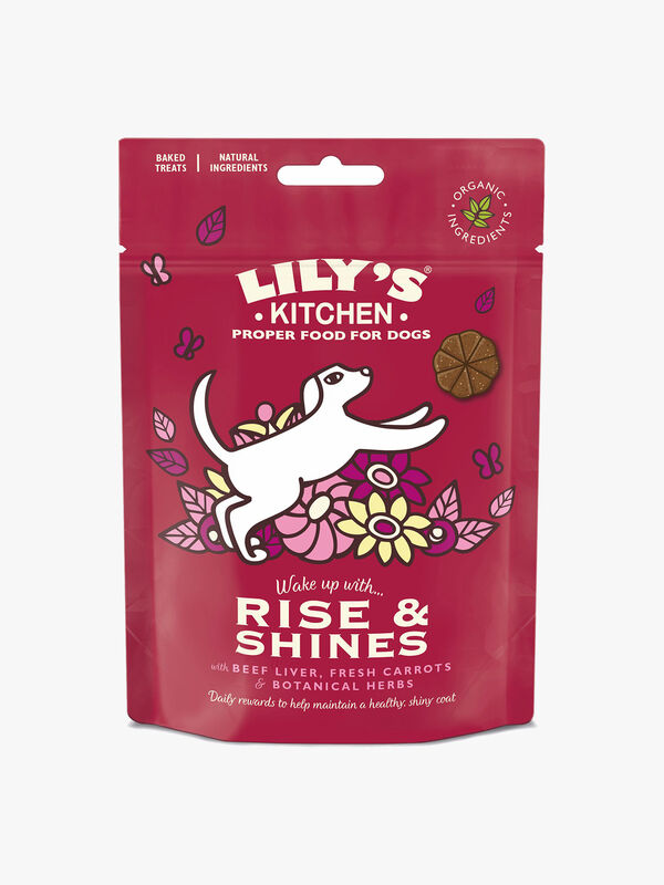 Rise and Shines Adult Dog Treats 80g