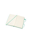 12m Weekly Notebook 2022 Large Ice Green Hard Cover