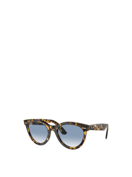RB2241 Wayfarer Sunglasses