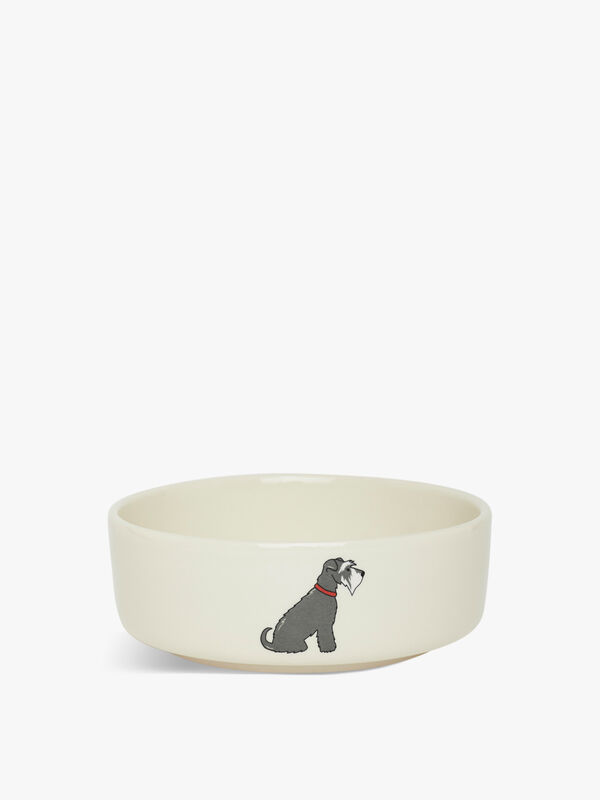 Small Schnauzer Dog Bowl