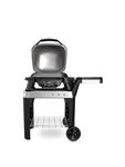 Pulse 2000 BBQ with Cart