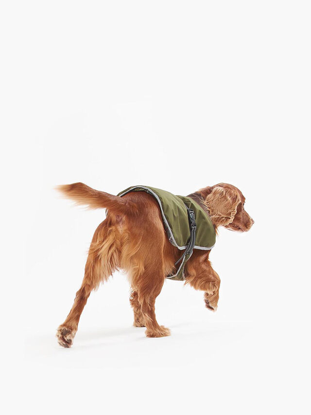 Monmouth Waterproof Dog Coat Large