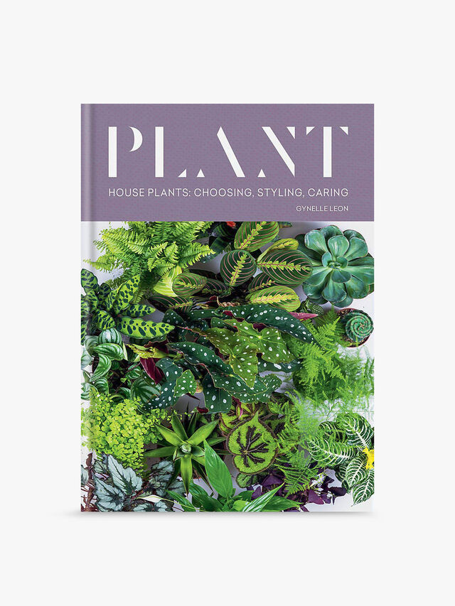 Plant: Houseplants, Choosing, Styling, Caring