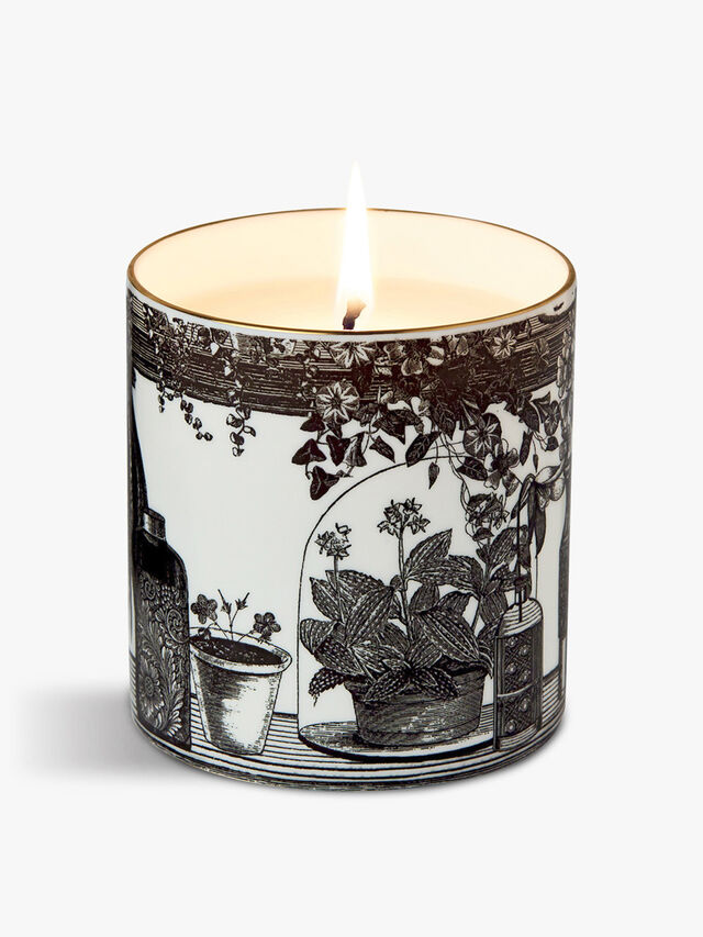 The Botanist Fine China Scented Candle