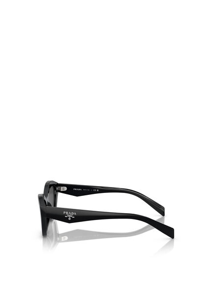 PR A02S Cat Eye Slim Frame Acetate Sunglasses