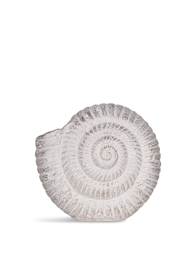 Large Conche Shell Ornament
