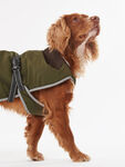 Monmouth Waterproof Dog Coat Large