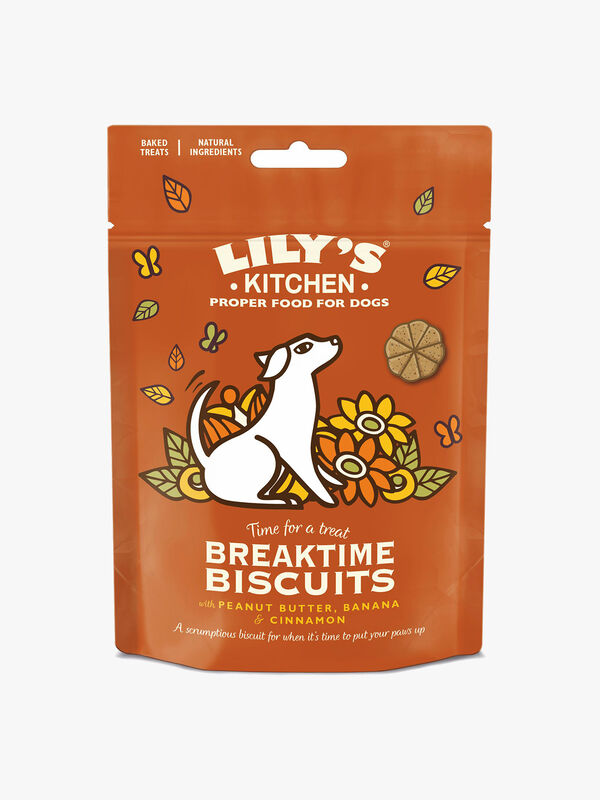 Breaktime Biscuits Adult Dog Treats 80g