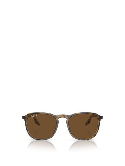 RB2203 Oval Acetate Sunglasses