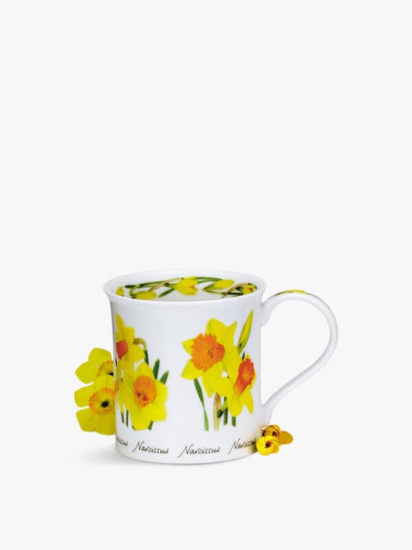 Bute Spring Flowers Daffodil Mug
