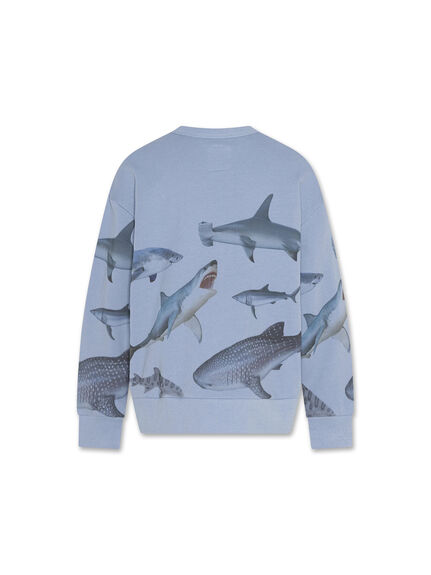 oscar sweater sharks