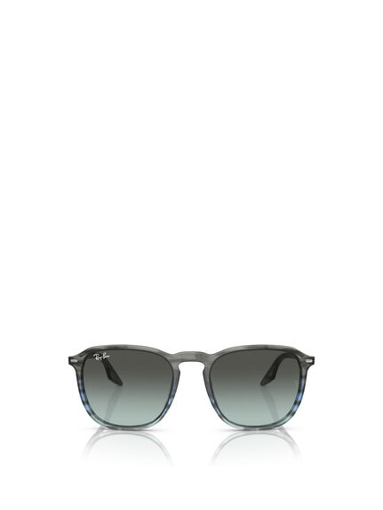 RB2203 Oval Acetate Sunglasses