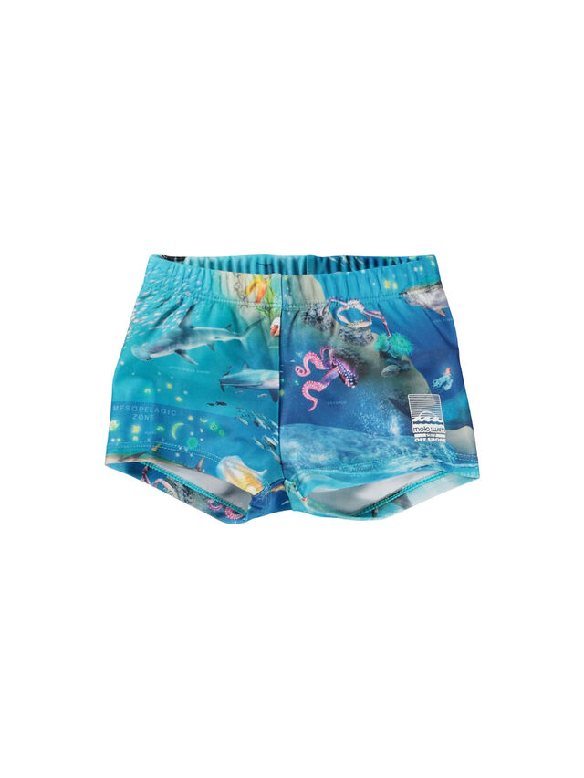 Nansen Ocean Zones Swim Shorts