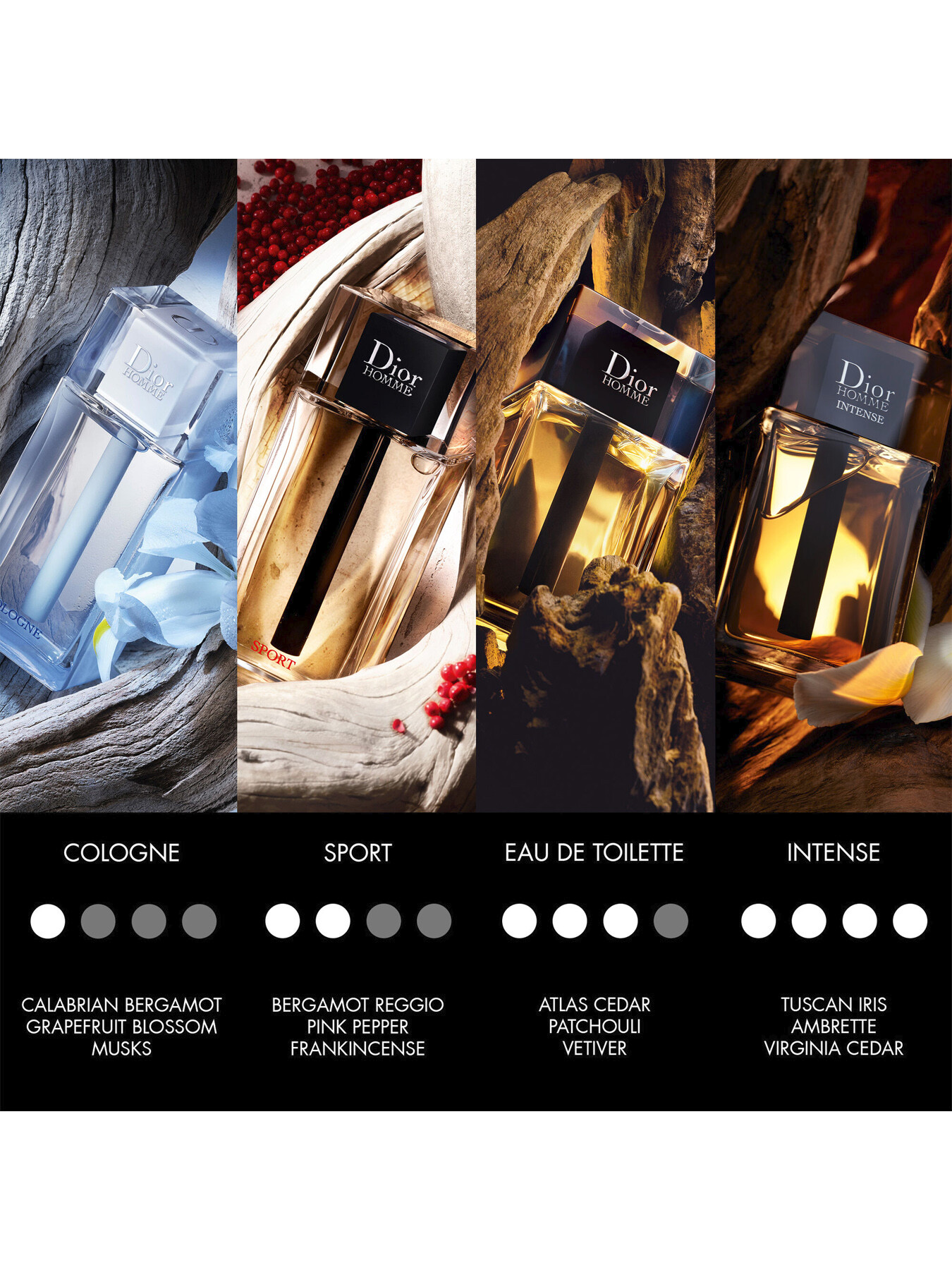 Dior Homme Original Dior cologne - a fragrance for men 2021