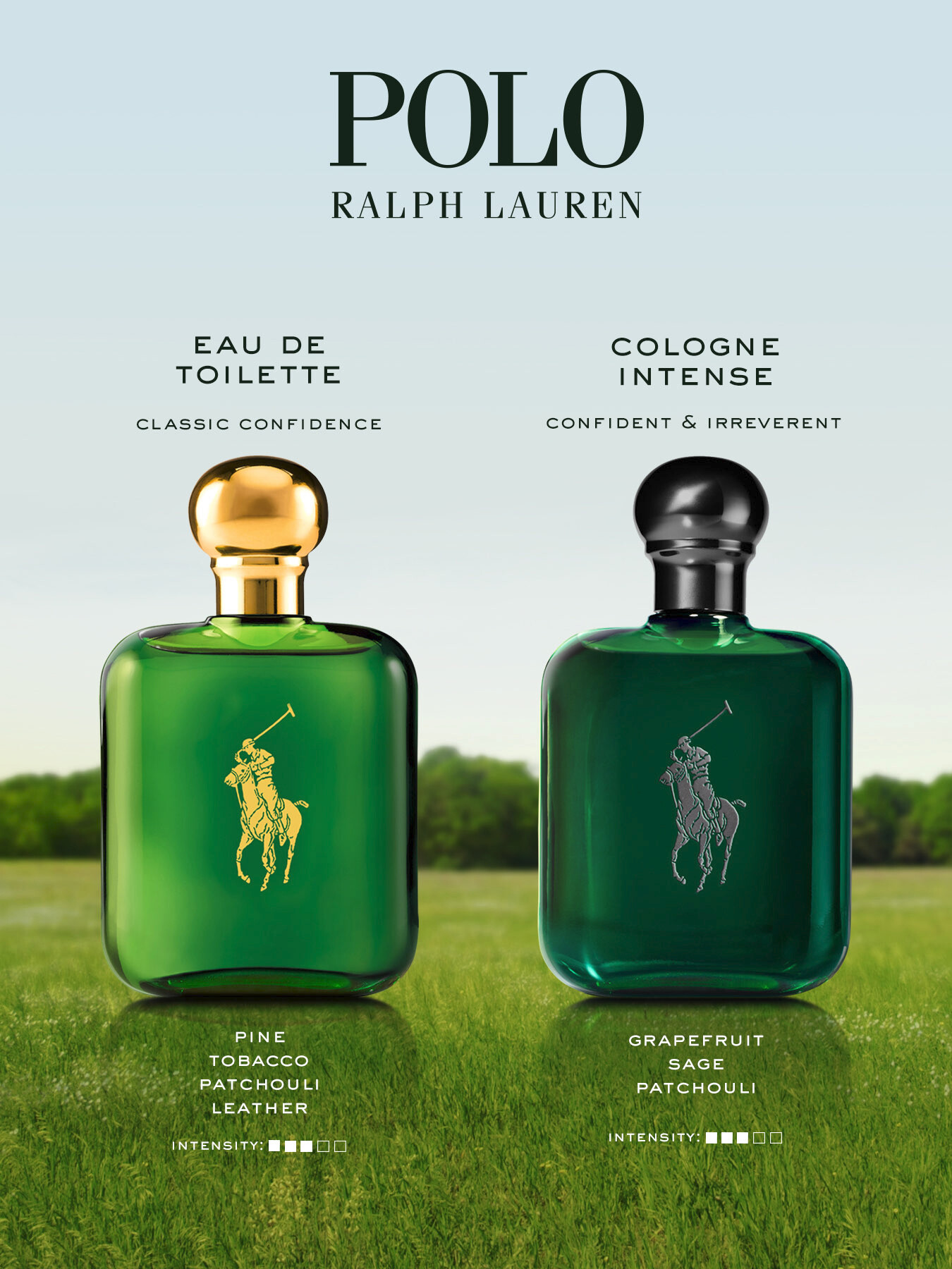 Ralph Lauren Polo Cologne Intense Spray Aromatic Fougere