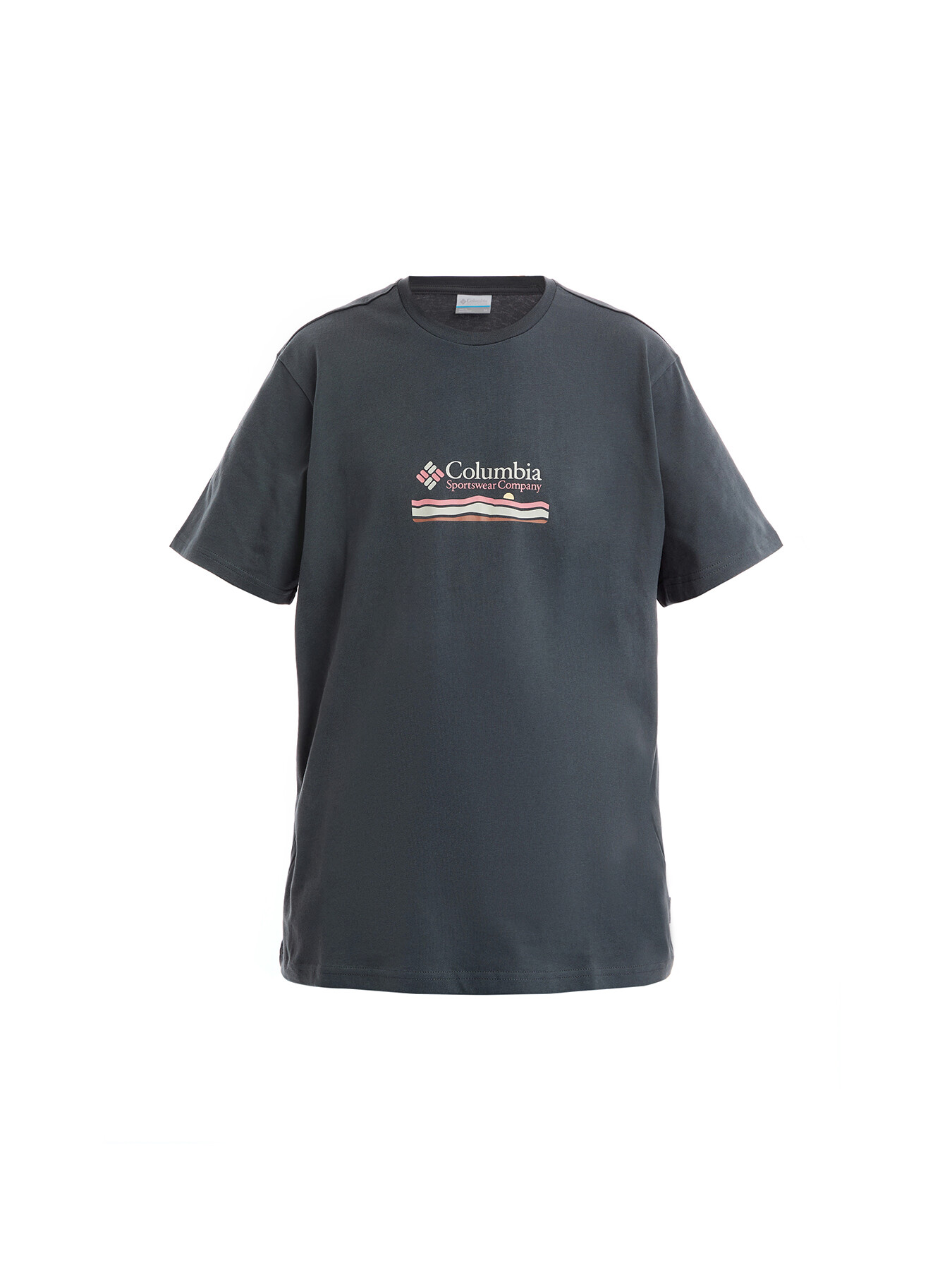 Columbia Men's Explorers Canyon Backprint T-shirt Black In Grey