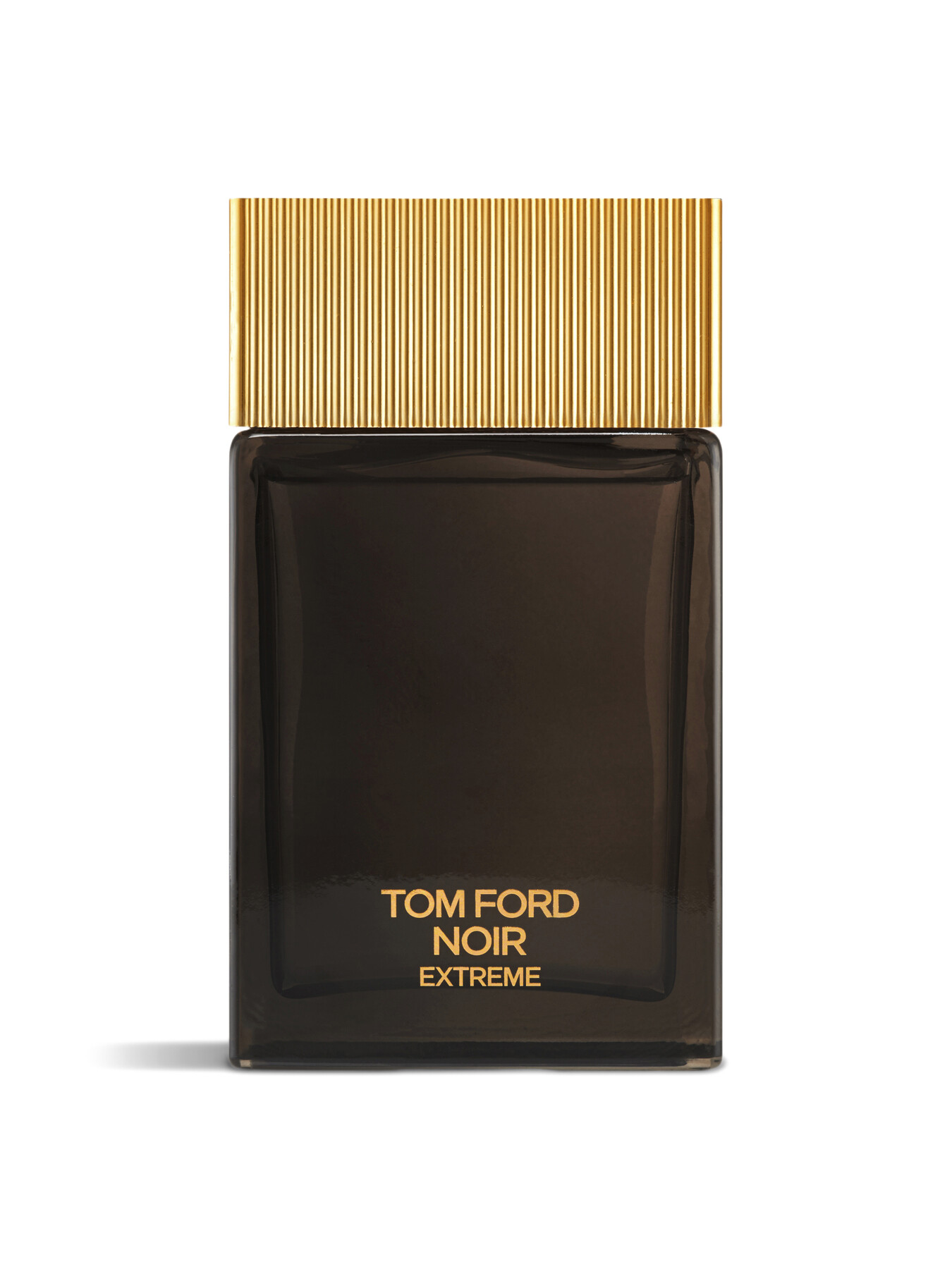 Tom Ford Noir Extreme Eau de Parfum 100 ml | Fenwick