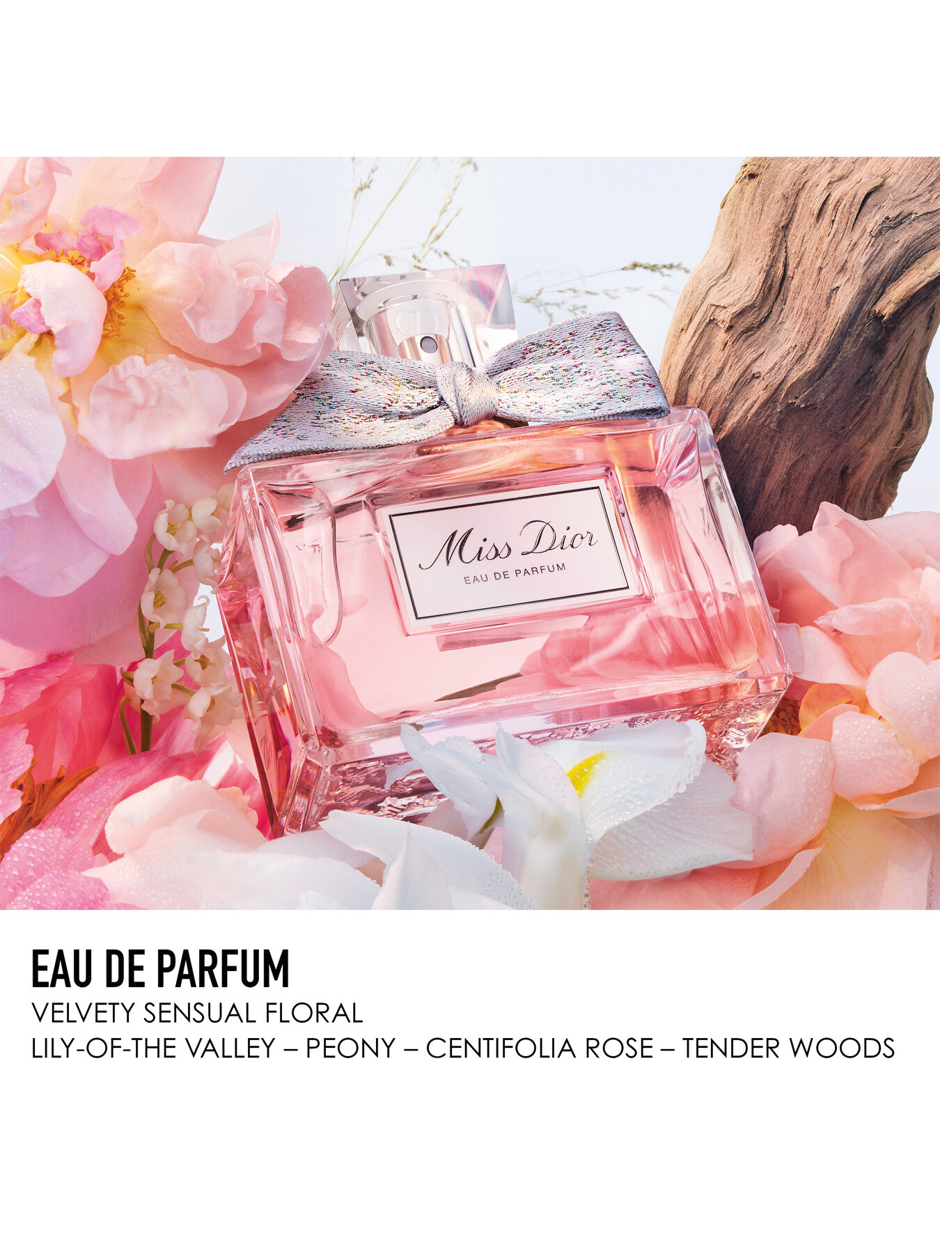 DIOR Miss Dior Eau de Parfum 100ml - Limited Edition Case