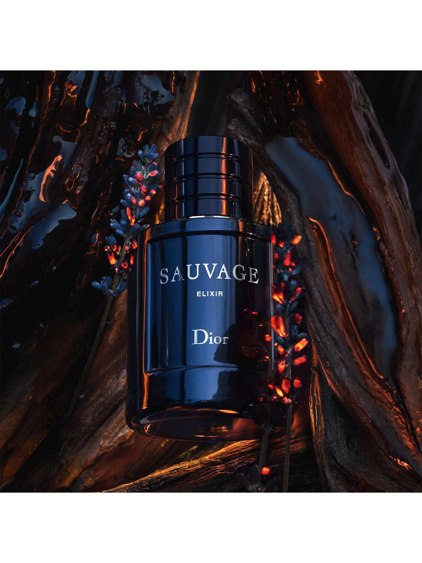 Shop Dior Dior Sauvage Elixir  Saks Fifth Avenue